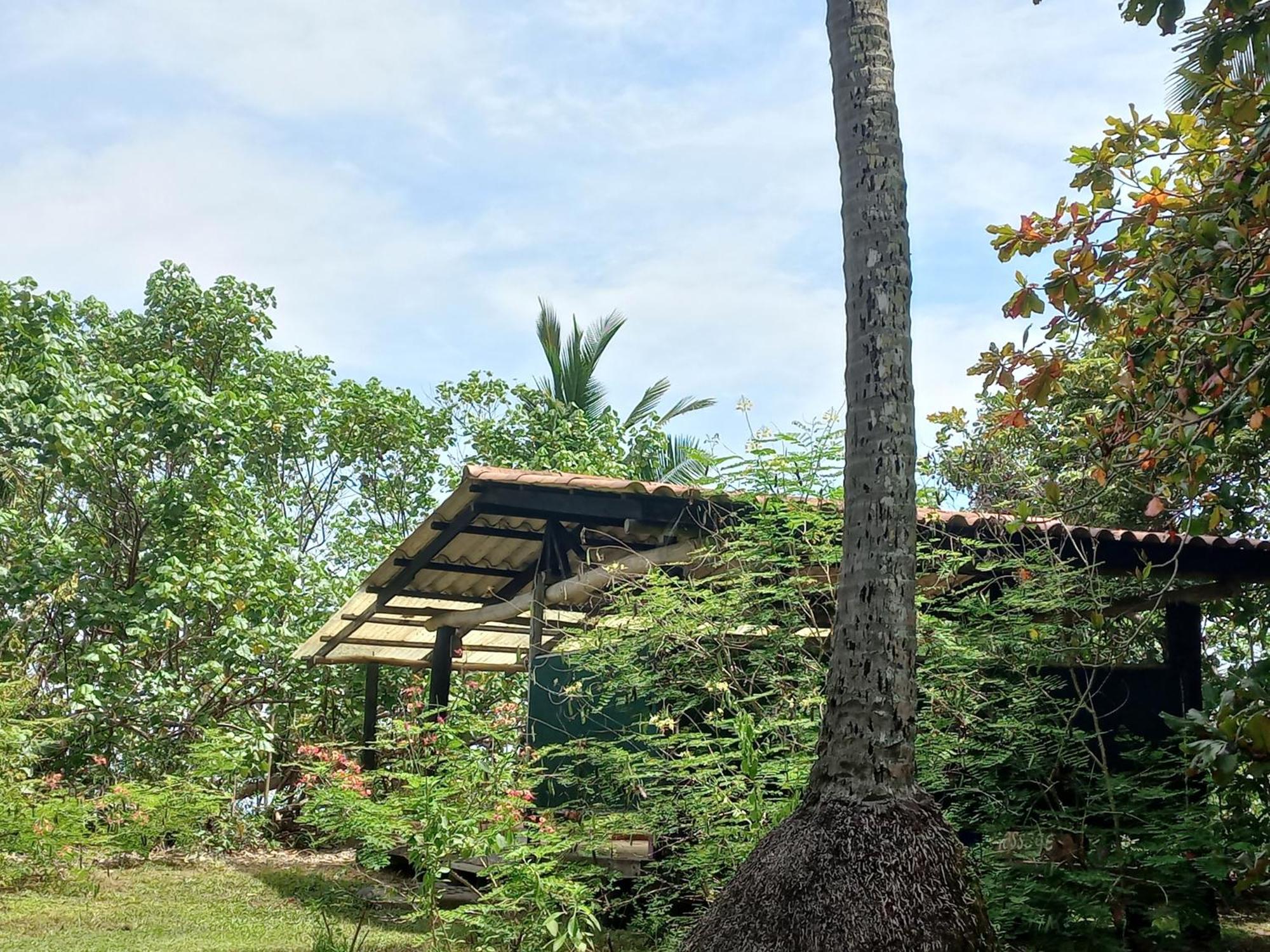 Las Lajas Beach Resort Esterno foto